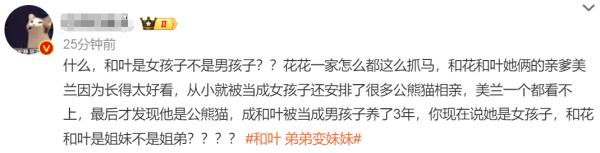 大熊猫基地官宣！和叶是“妹妹”不是“弟弟”