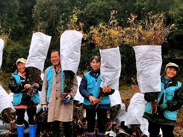 一天卖出8万枝，产地竟然在湖北