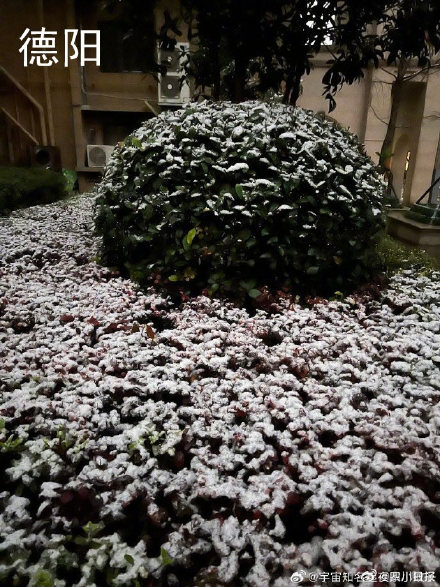 雪雪雪！四川多地瑞雪兆丰年