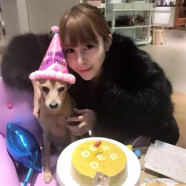 “非诚勿扰”马诺：被家暴7次，已起诉离婚