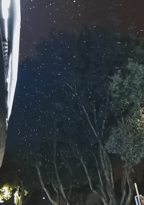 家人们谁懂啊！重庆中心城区下雪了