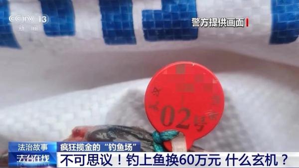 一条鱼价值60万元？钓鱼场变“赌场” 警方抓获86人