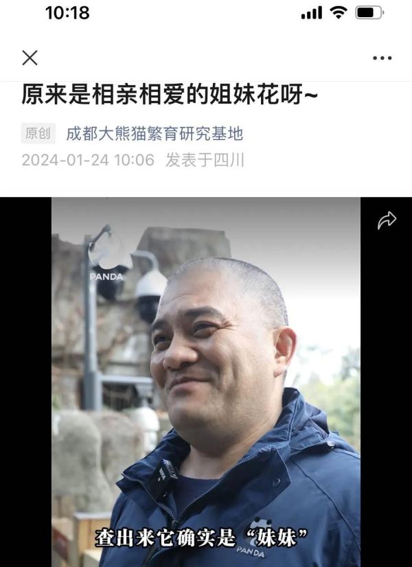 以前被当作“男熊”的大熊猫“和叶”其实是女孩！粉丝：原来是姐妹呀