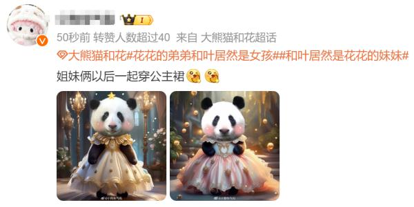 “弟弟变妹妹”?熊猫界顶流“男明星”原来是女孩! “弟弟变妹妹”?熊猫界顶流“男明星”原来是女孩!