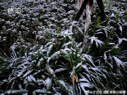 雪雪雪！四川多地瑞雪兆丰年