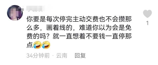 路边停车5次，收费2712元......网友吵翻了