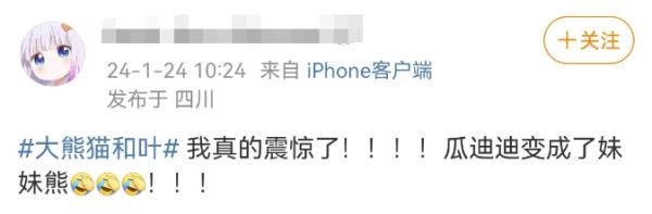 热搜第一！突然官宣：是“女孩”！网友不淡定了