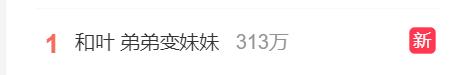 大熊猫基地官宣！和叶是“妹妹”不是“弟弟”