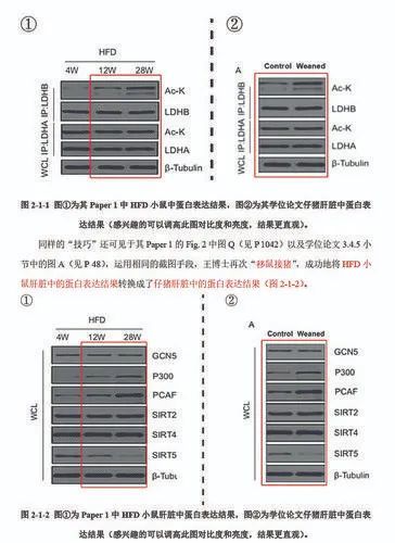 华中农业大学教授被举报学术不端后续：学生们正接洽新导师