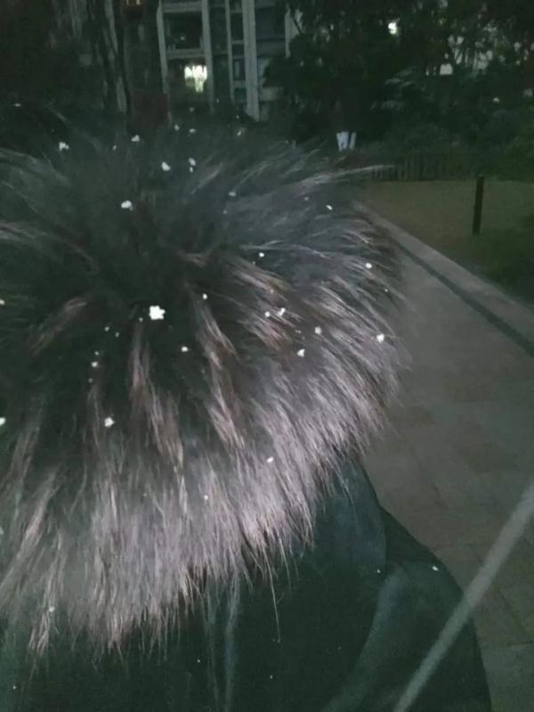 家人们谁懂啊！重庆中心城区下雪了