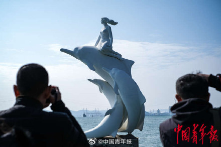 福建厦门：在无居民海岛守护海豚