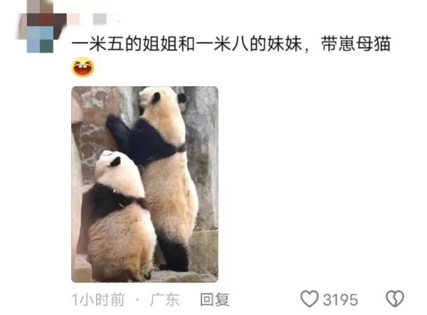 “弟弟”变“妹妹”,网友:建议也查查“花花”…… “弟弟”变“妹妹”,网友:建议也查查“花花”……