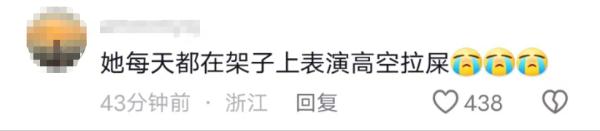 “弟弟”变“妹妹”,网友:建议也查查“花花”…… “弟弟”变“妹妹”,网友:建议也查查“花花”……