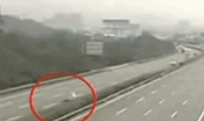 女星虞书欣司机高速路倒车，引跟车粉丝效仿！警方回应→