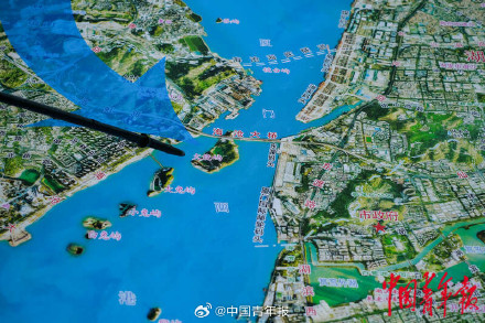 福建厦门：在无居民海岛守护海豚