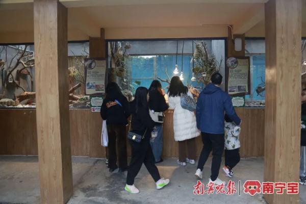 冷飕飕!看南宁动物如何花式过冬 冷飕飕!看南宁动物如何花式过冬