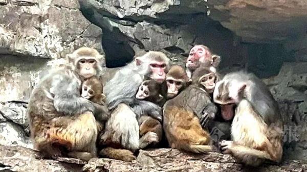 实名羡慕!柳州这些“小朋友”过冬也太爽了吧! 实名羡慕!柳州这些“小朋友”过冬也太爽了吧!