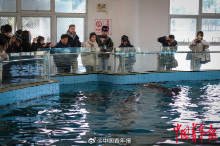 福建厦门：在无居民海岛守护海豚