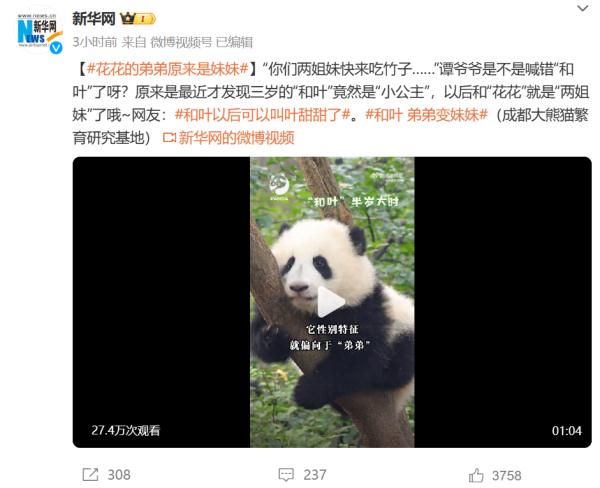 “弟弟”变“妹妹”,网友:建议也查查“花花”…… “弟弟”变“妹妹”,网友:建议也查查“花花”……