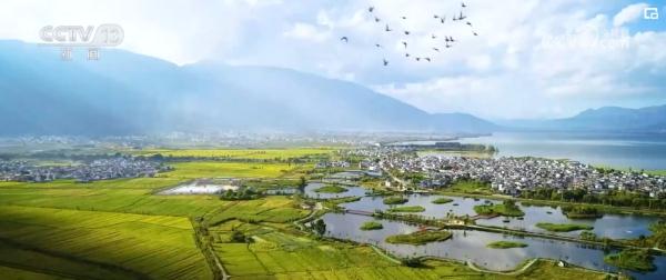 美丽中国稳幸福 扮“靓”生态底色 百姓共享清新“蓝”怡人“绿”