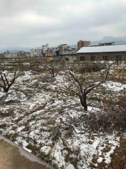 看雪不出省，广东河源多地飘雪现北国风光