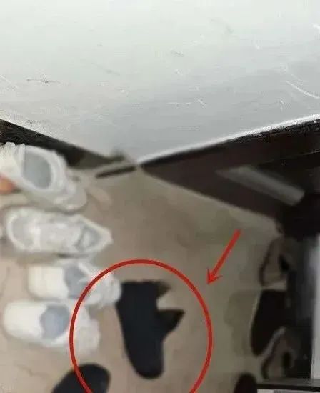 5双鞋子，民警精准“拿捏”，追凶23年，宁波这起命案破了！