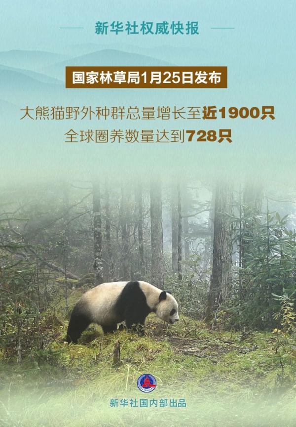 知道和叶是女熊后，谭爷爷秒成夹子音！花花：爷爷，你让我感到陌生