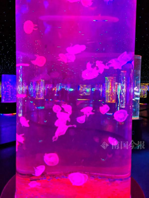 实名羡慕!柳州这些“小朋友”过冬也太爽了吧! 实名羡慕!柳州这些“小朋友”过冬也太爽了吧!