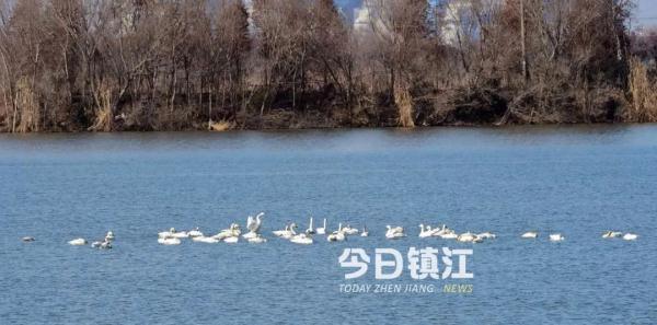 冷冷冷！持续零下！镇江年前可能还有场雪！