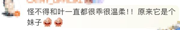 知道和叶是女熊后，谭爷爷秒成夹子音！花花：爷爷，你让我感到陌生