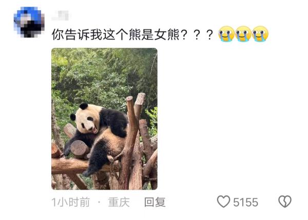 “弟弟”变“妹妹”,网友:建议也查查“花花”…… “弟弟”变“妹妹”,网友:建议也查查“花花”……