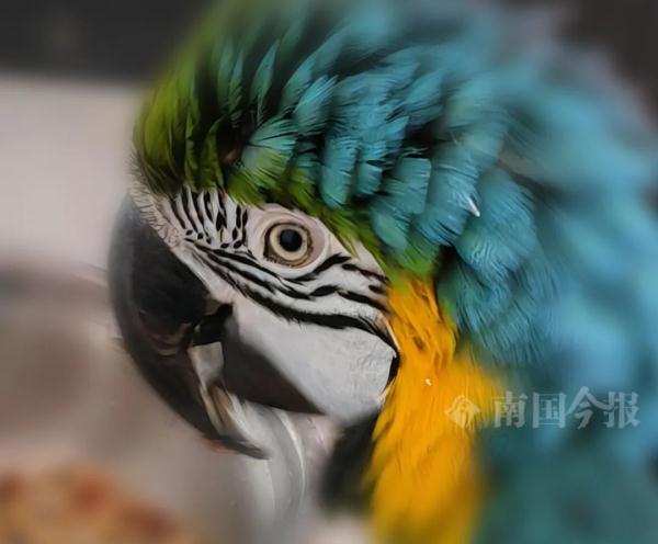 实名羡慕!柳州这些“小朋友”过冬也太爽了吧! 实名羡慕!柳州这些“小朋友”过冬也太爽了吧!