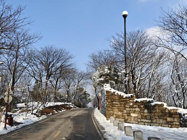 岳麓山景区恢复开放! 岳麓山景区恢复开放!