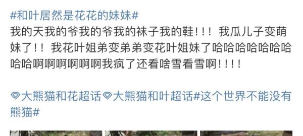 突然宣布大熊猫和叶竟然是“女孩”！做了三年姐弟怎么就成姐妹了？