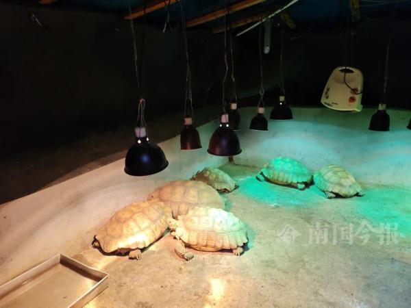 实名羡慕!柳州这些“小朋友”过冬也太爽了吧! 实名羡慕!柳州这些“小朋友”过冬也太爽了吧!