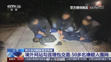 山东警方铲除1400多棵大麻 毒贩在公园埋包交易50多人被抓