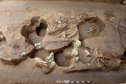 秦始皇帝陵考古取得重大收获 秦始皇帝陵考古取得重大收获