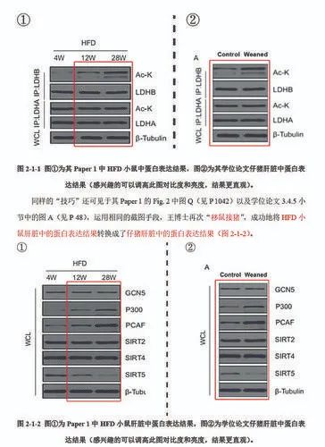 华中农业大学教授被举报学术不端,后续来了! 华中农业大学教授被举报学术不端,后续来了!