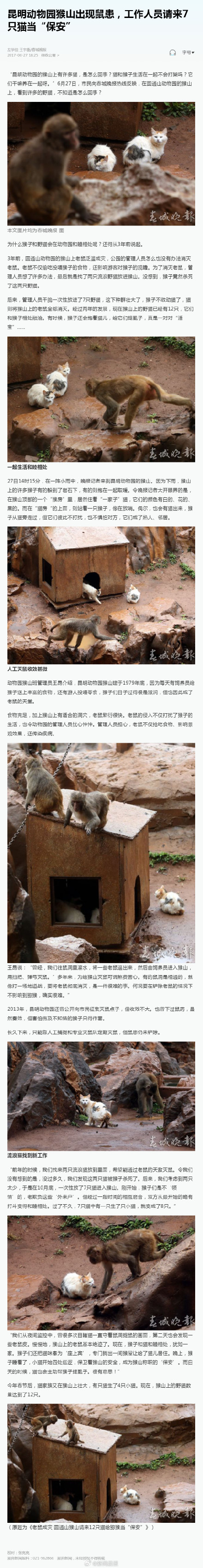 昆明动物园猴山最初请来灭鼠的猫曾被猴杀死 昆明动物园猴山最初请来灭鼠的猫曾被猴杀死
