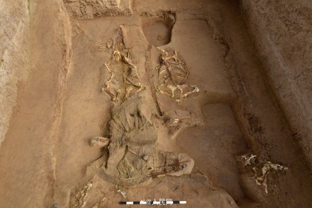 秦始皇帝陵考古取得重大收获 秦始皇帝陵考古取得重大收获