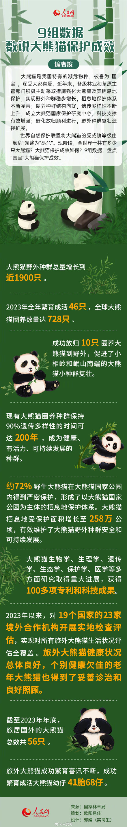 9组数据看我国大熊猫保护成效 9组数据看我国大熊猫保护成效