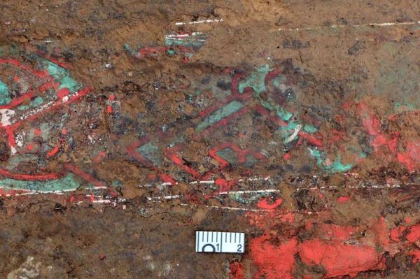 极其罕见!陕西有重大发现 极其罕见!陕西有重大发现