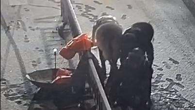 雪夜“教科书式”救人的女司机，职业：教书育人