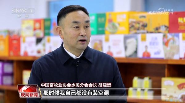 【尝尝我的家乡味】安徽霍邱：鹅肝小镇的鹅生意