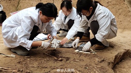 秦始皇帝陵考古取得重大收获 秦始皇帝陵考古取得重大收获