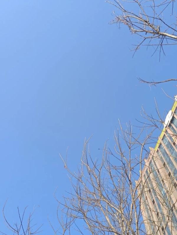 最高8℃!河北气温回升!接下来还有雪吗? 最高8℃!河北气温回升!接下来还有雪吗?