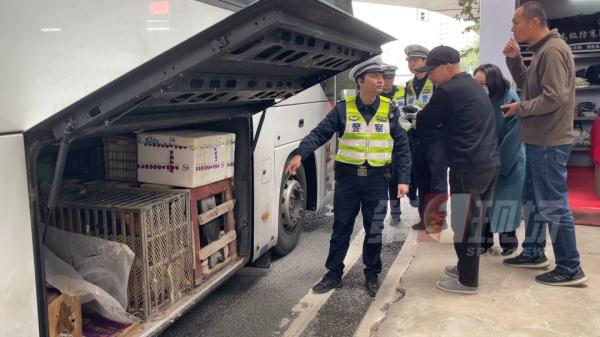 今天正式开启！深圳这些地方已人山人海！多图直击→