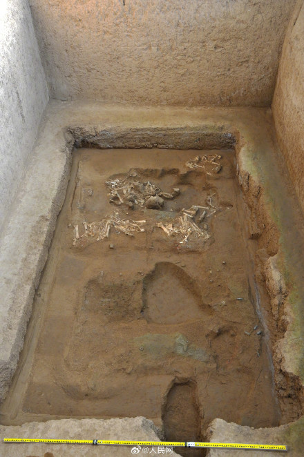 秦始皇帝陵考古取得重大收获 秦始皇帝陵考古取得重大收获