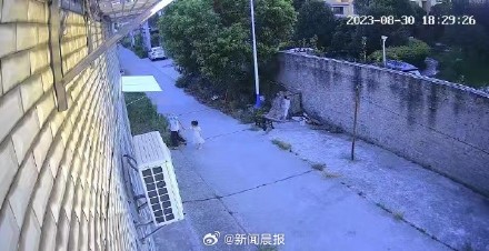 湖北杀害4岁女童的未满12岁男孩正接受心理矫正！警方撤案