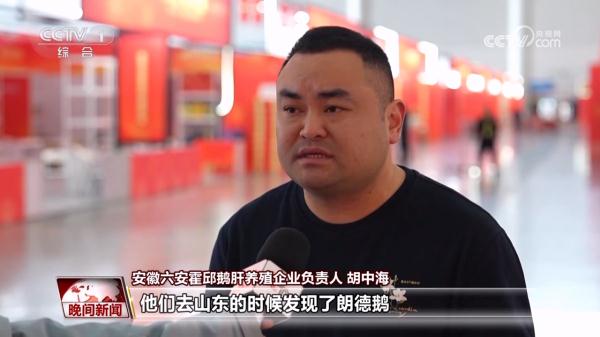 【尝尝我的家乡味】安徽霍邱：鹅肝小镇的鹅生意